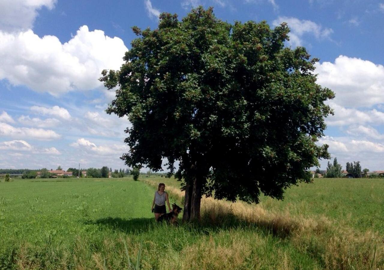 B&B Antica Cascina Boretto Eksteriør billede
